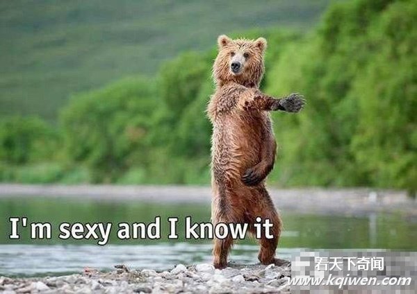 忍不住笑翻的酷图