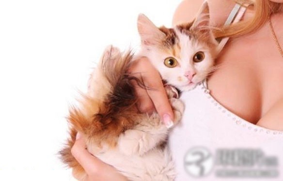 美女用胸乳养宠物的超雷人怪招图集 软绵绵关爱(组图)